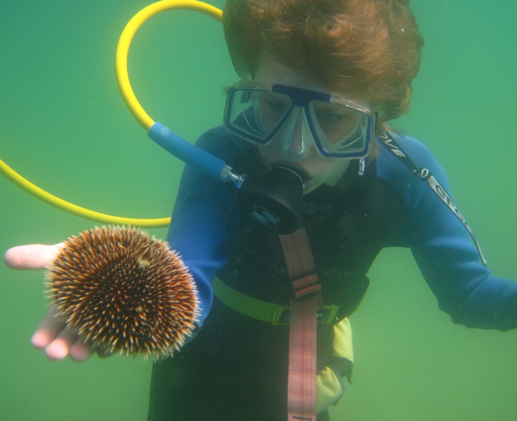 ルーターで絶対にやってはいけない9つの危険なこと